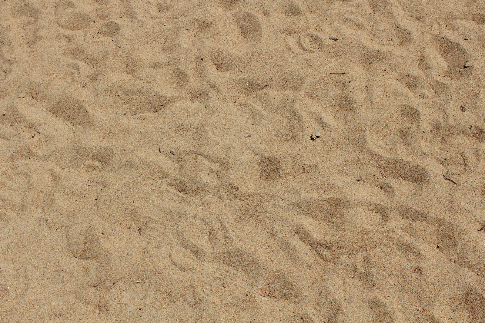 Image of sand.